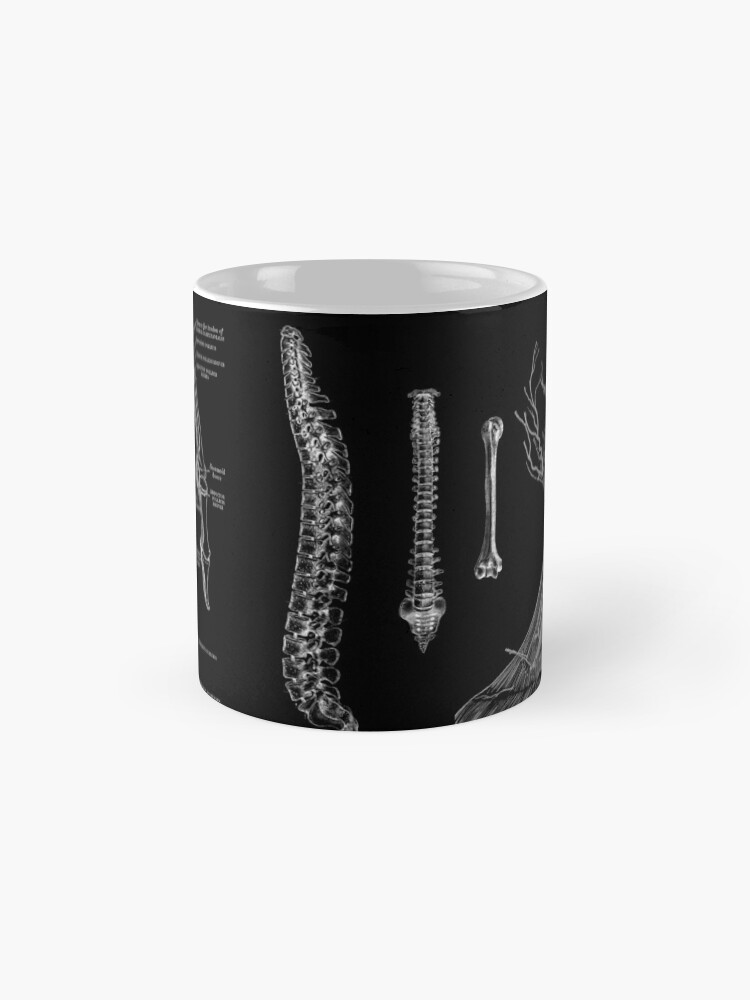 Alternate view of Vintage Anatomy Print Mug
