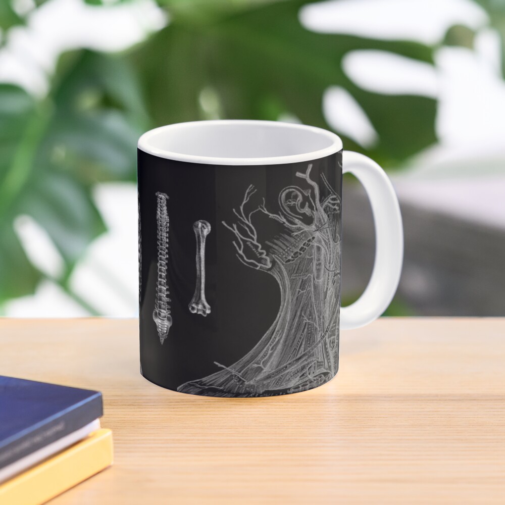 Vintage Anatomy Print Mug