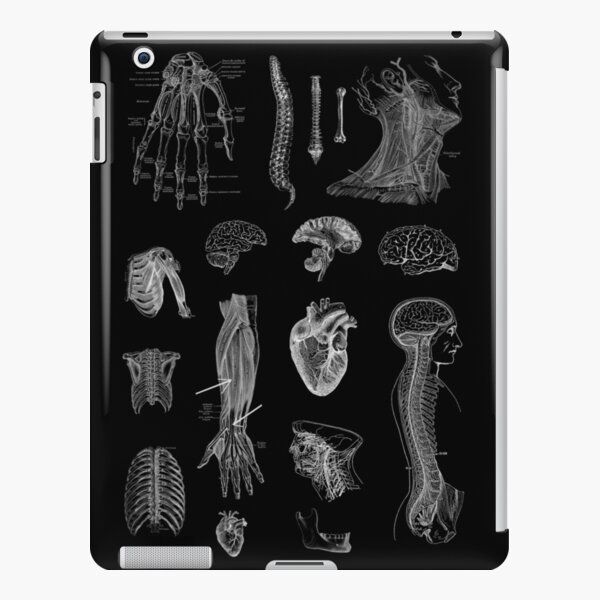 "Vintage Anatomy Print " IPad Case & Skin For Sale By StilleSkygger ...