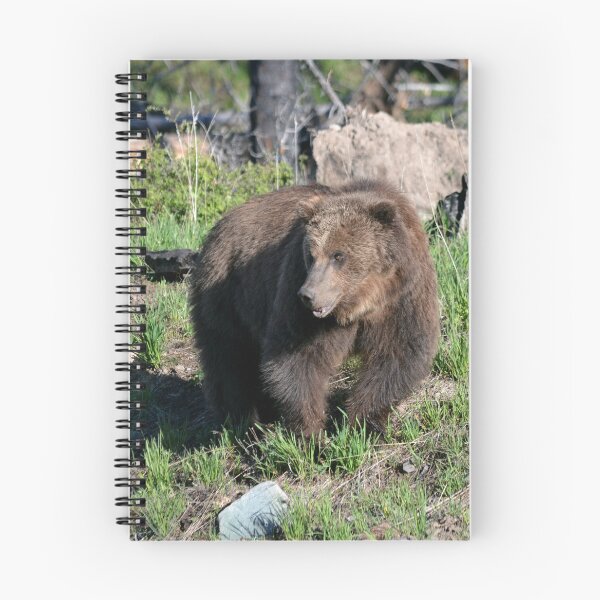 Item preview, grizzly on a hill designed and sold by grizzbass.