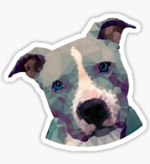 Pitbull Sticker