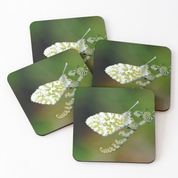 Item preview, Anthocharis cardamines designed and sold by iago rodriguez dopico.