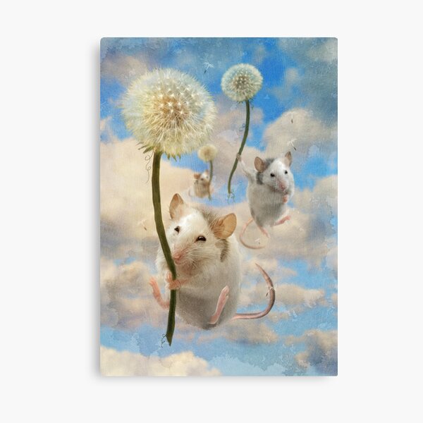 Dandemouselings Canvas Print
