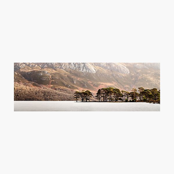 Item preview, Pine trees on Loch MMaree in Scotland designed and sold by panoverse.