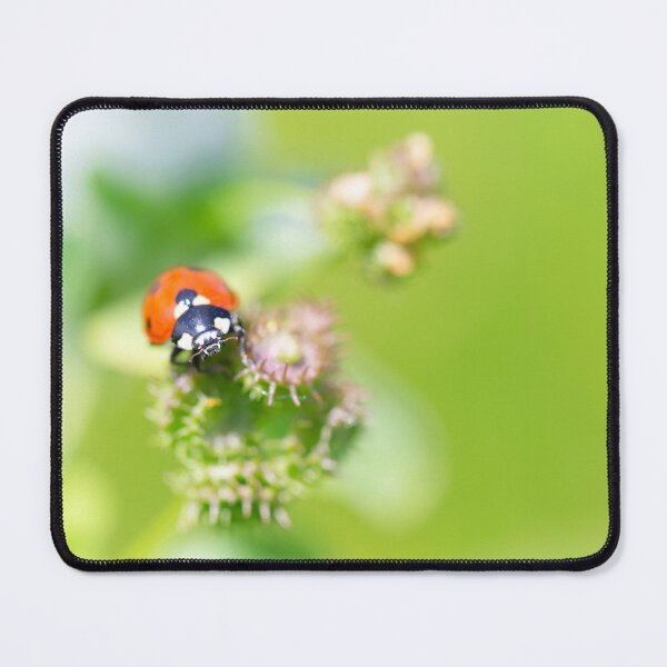 Item preview, Red Ladybird on bright green plants designed and sold by sgrphotography.