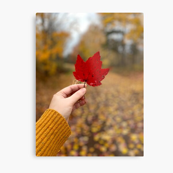 Autumn Metal Print