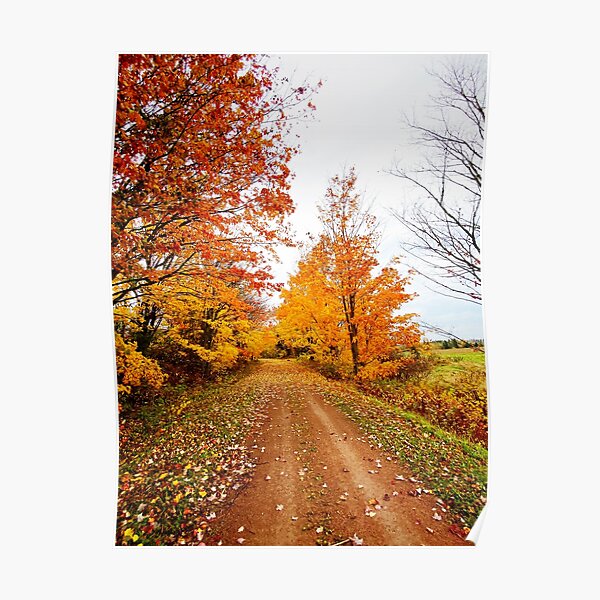 Autumn Stroll Poster