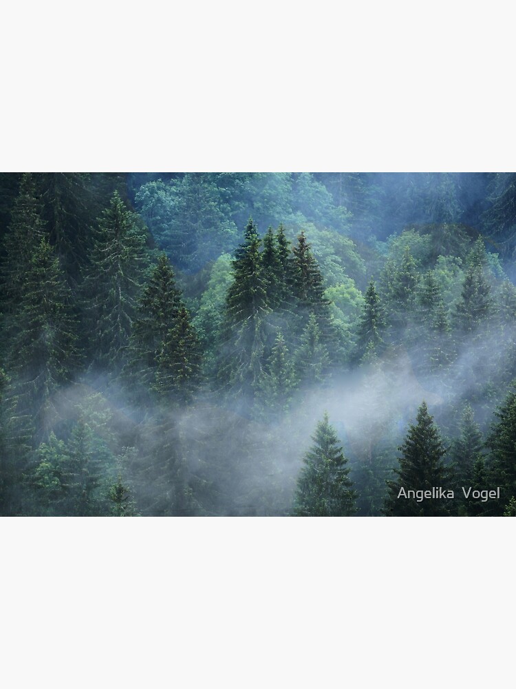 The Fir Forest...French Alps by angevogel