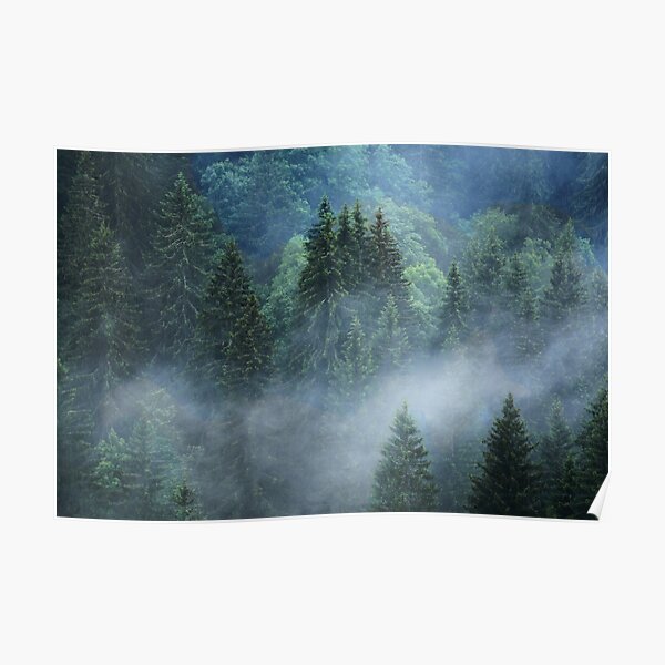 The Fir Forest...French Alps Poster
