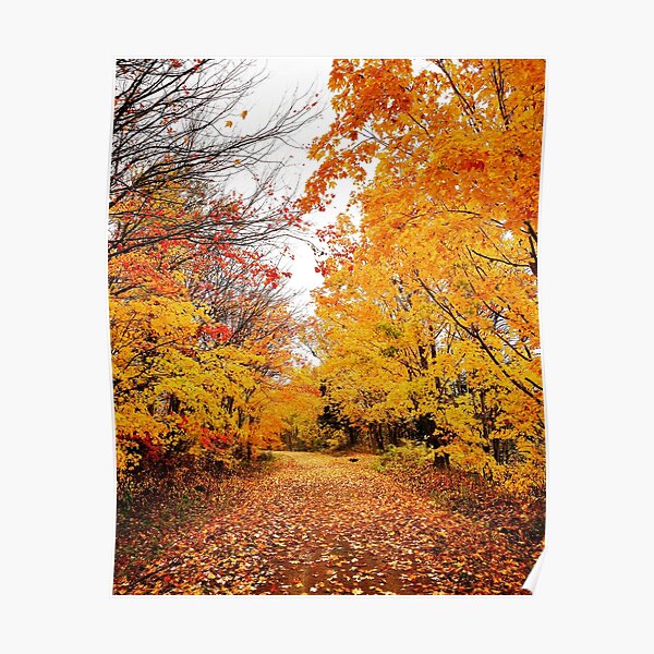 Autumn Walk Poster