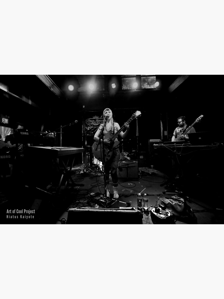 Hiatus Kaiyote at Art of Cool Festival by fmyers711