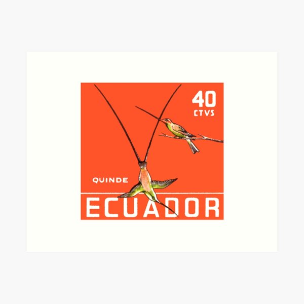 1958 Ecuador Hummingbirds Postage Stamp Art Print