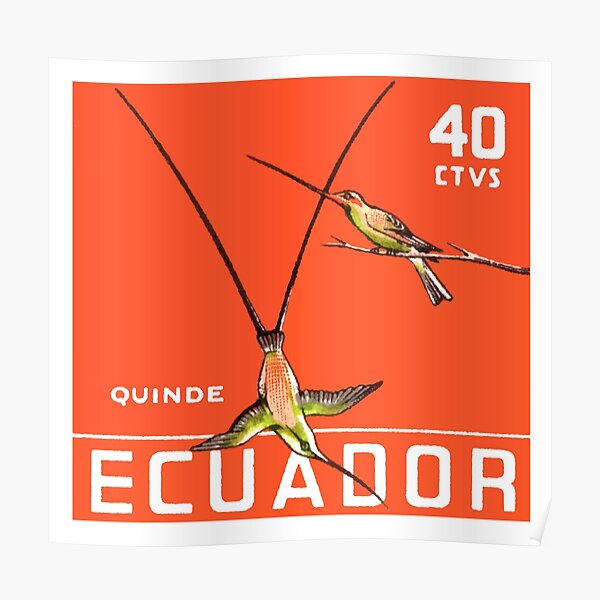 1958 Ecuador Hummingbirds Postage Stamp Poster