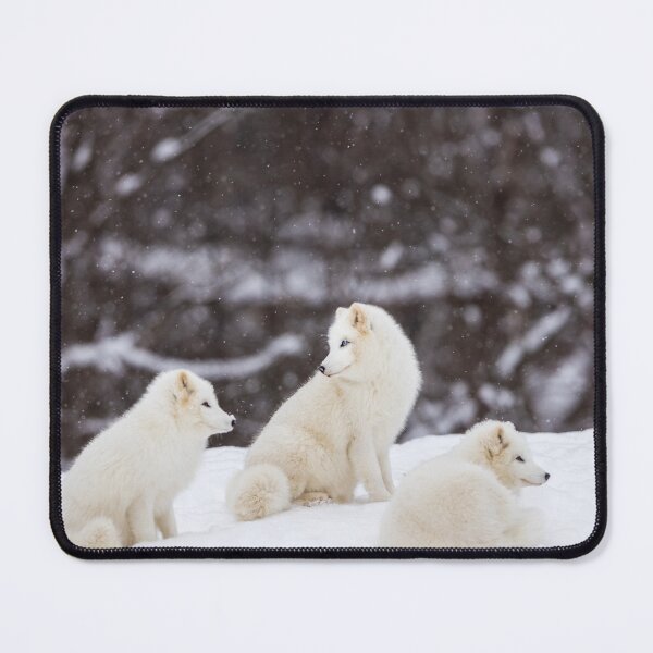Item preview, Artic Fox. designed and sold by MICKSPIKS.