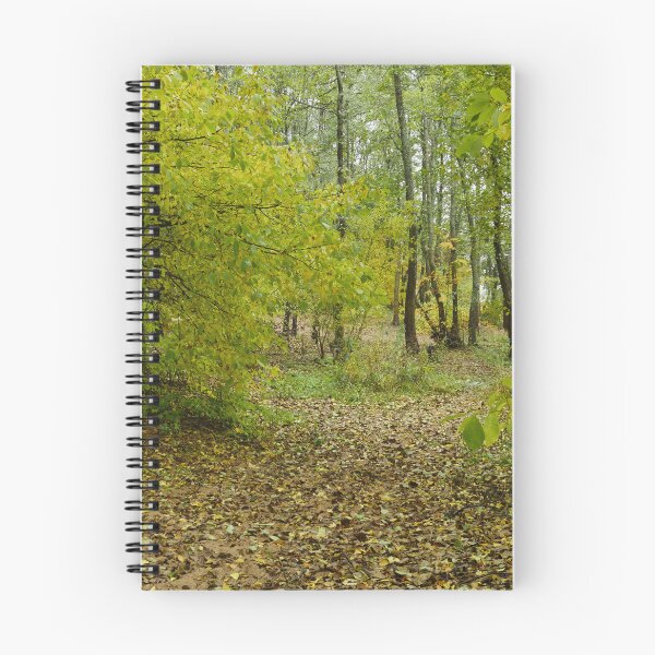 Item preview, Autumn landscape yellow fallen leaves on the path designed and sold by mrivserg.