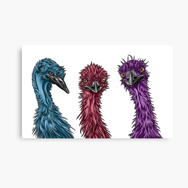 Cheeky Emus  Canvas Print