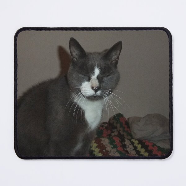 Item preview, sleepy cat designed and sold by mopeyesque.