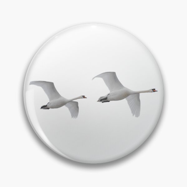 Artikelvorschau, Durchgehen entworfen und verkauft von Birdfanatics.