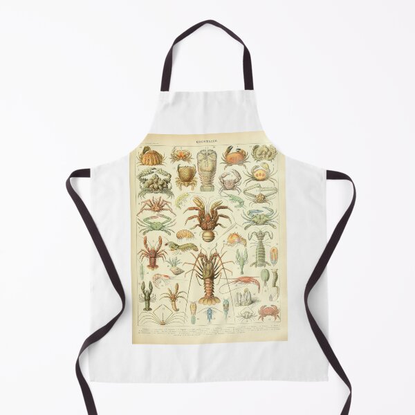 Item preview, 19th Century Crustaceans Illustration designed and sold by WeFLVintage.