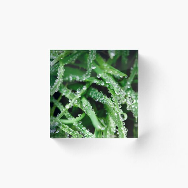 Item preview, Grass designed and sold by photobytableau.