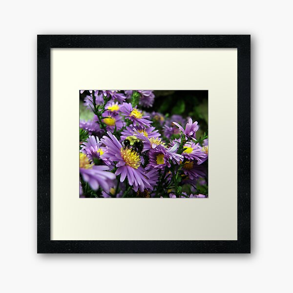 Blending In Framed Art Print