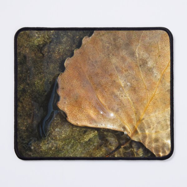 Item preview, Underwater. designed and sold by Elfriede Fulda.