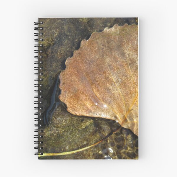 Item preview, Underwater. designed and sold by Elfriede Fulda.