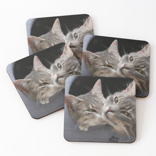 Item preview, Two cat muzzles in the cat house close-up designed and sold by mrivserg.