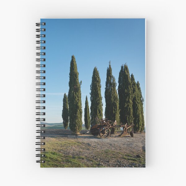 Item preview, Cipressi di San Quirico d'Orcia with traditional plough in foreground designed and sold by AndrewJonesFoto.
