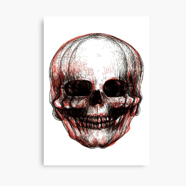 multi skull Canvas Print