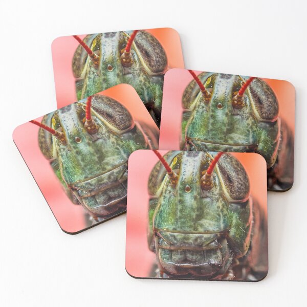 Item preview, Grasshopper Portrait - Acrididea Acridomorpha designed and sold by AronsTinySafari.