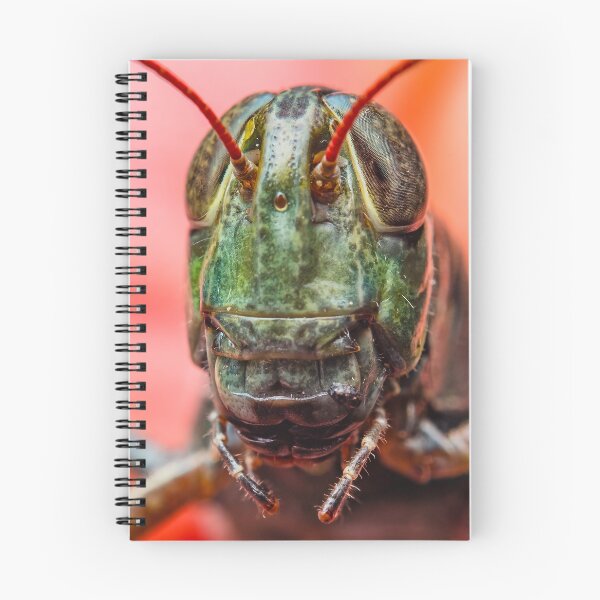Item preview, Grasshopper Portrait - Acrididea Acridomorpha designed and sold by AronsTinySafari.