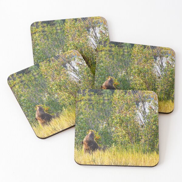 Item preview, Teton Bear Eating Berries, Wyoming designed and sold by Catherine Sherman.