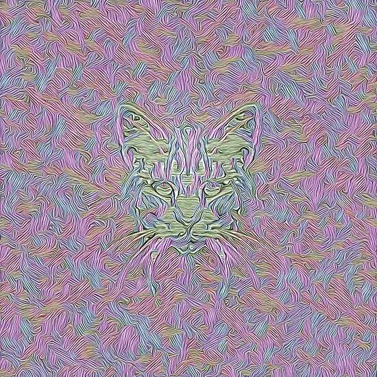 Abstract Cat