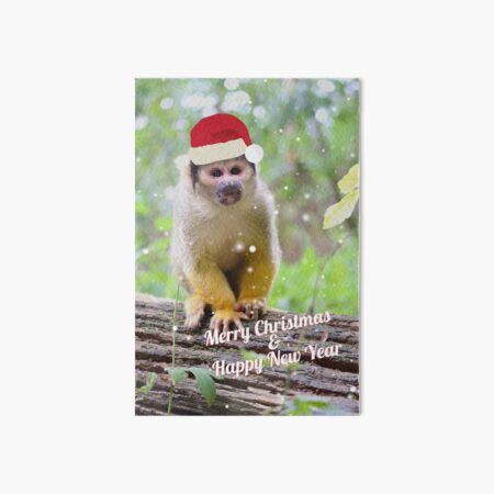 Totenkopfäffchen Kuscheltier und die Magie der Ausmalbilder: Kreativität für Groß und Klein