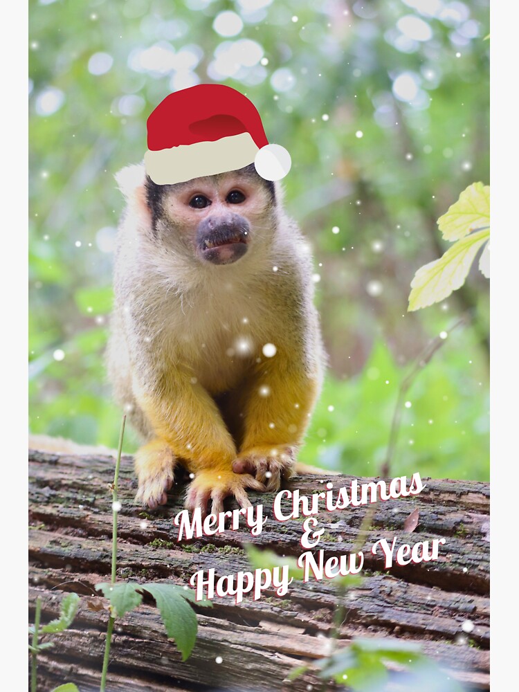 Totenkopfäffchen Kuscheltier und die Magie der Ausmalbilder: Kreativität für Groß und Klein