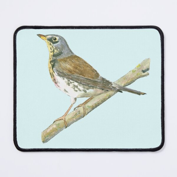 Item preview, Fieldfare (watercolour) designed and sold by Sarah Addy.