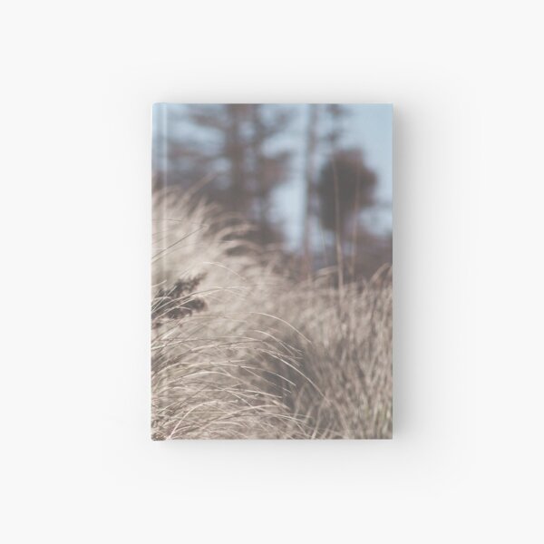 Ammophila Breviligulata Hardcover Journal