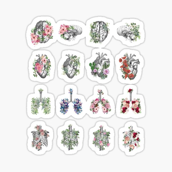 Item preview, Anatomy collection, Floral Human anatomy, parts of human anatomy, heart, brain, lungs, rib cage with floral decoartive  designed and sold by Collagedream.