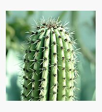 cactus photography Photographic Print