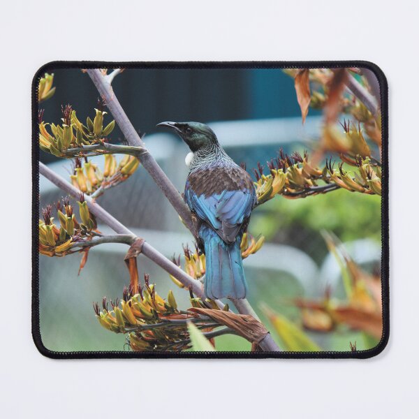 Item preview, Tūī Splendour designed and sold by KiwiImages.