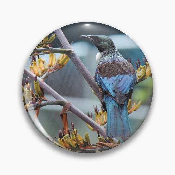 Item preview, Tūī Splendour designed and sold by KiwiImages.