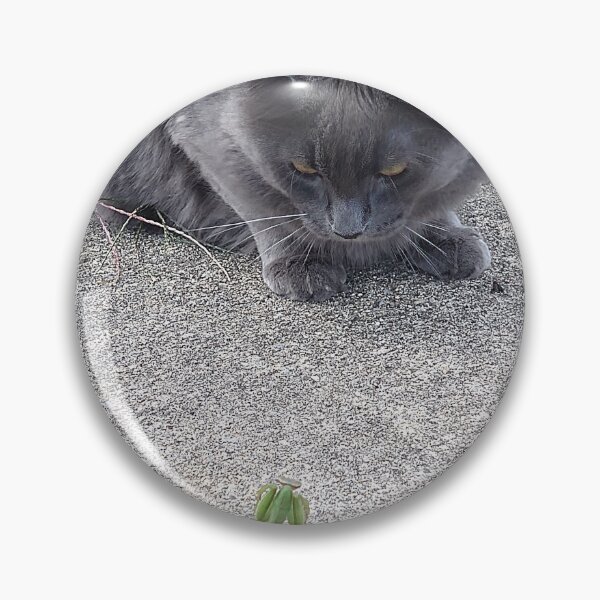 Item preview, Cat versus praying mantis designed and sold by LittleIzumi.