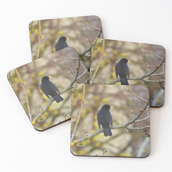 Item preview, Common blackbird designed and sold by Chiara Brugnoli.