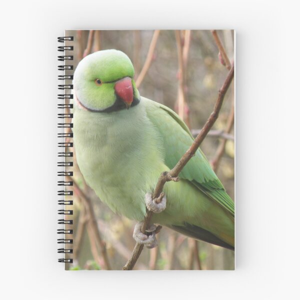 Item preview, Pretty Green Parakeet Perching Photograph designed and sold by naturegallery.