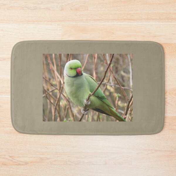 Item preview, Pretty Green Parakeet Perching Photograph designed and sold by naturegallery.