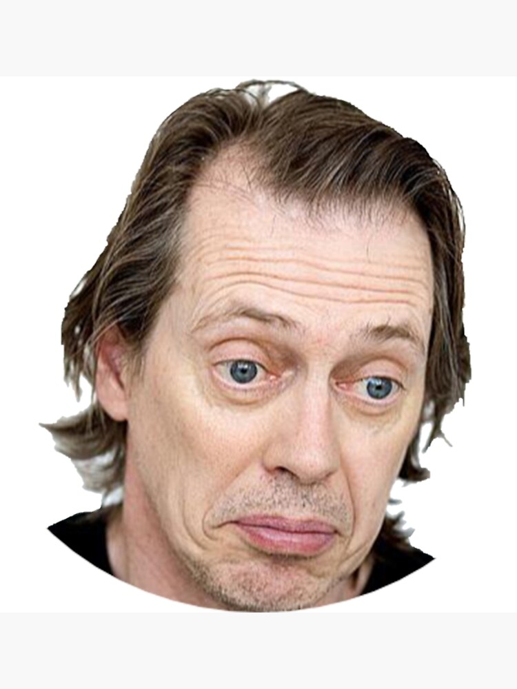 Steve Buscemi Meme Funny