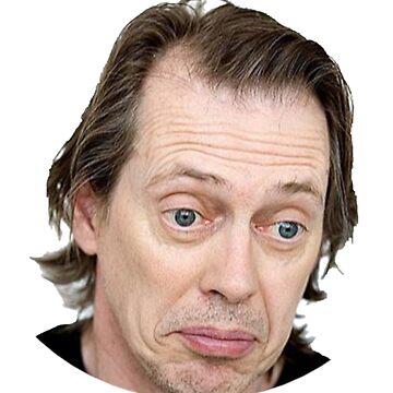 Steve Buscemi Meme Funny