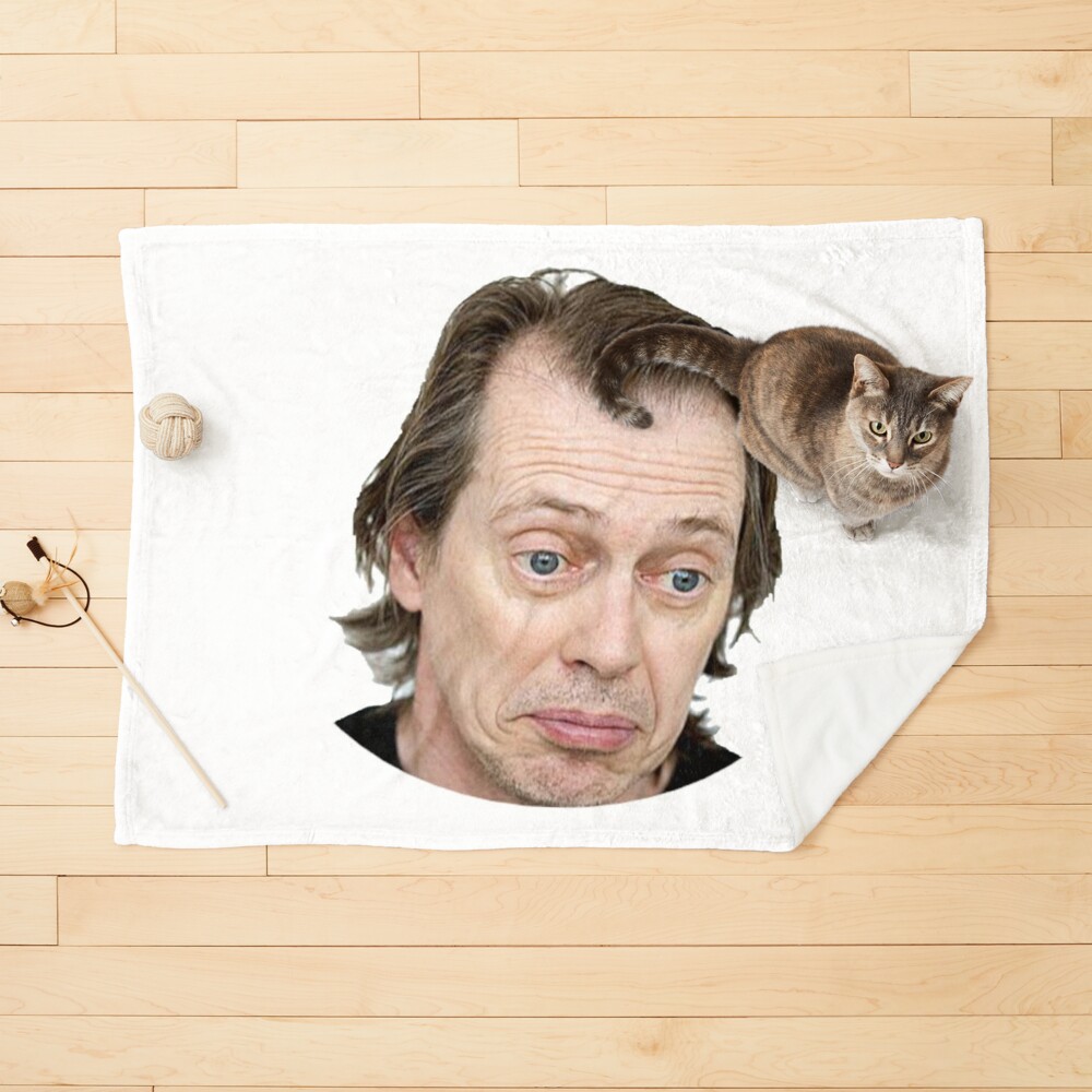 Steve Buscemi Meme Funny