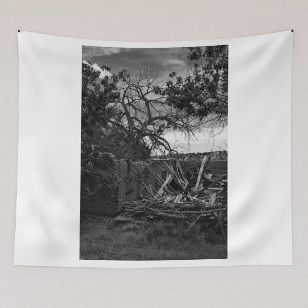Item preview, Abandoned House At Batito, CO designed and sold by Gary Benson.
